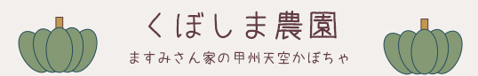 くぼしま農園ますみさん家の甲州天空かぼちゃ