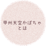 甲州天空かぼちゃとは